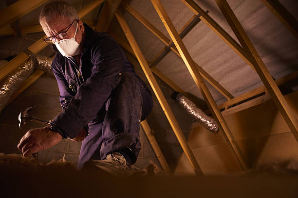 Best Insulation Materials and Products in Escondido, CA